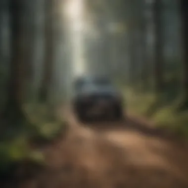 4x4 trail winding through dense forest