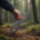 Pruning Shears cutting branches in a forest