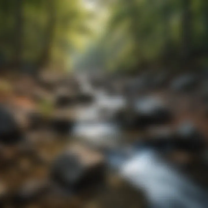 Crystal Clear Ozarks Mountain Stream