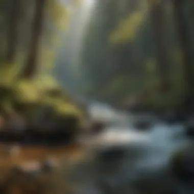Tranquil Waters Rippling stream in the wilderness of Pack Creek