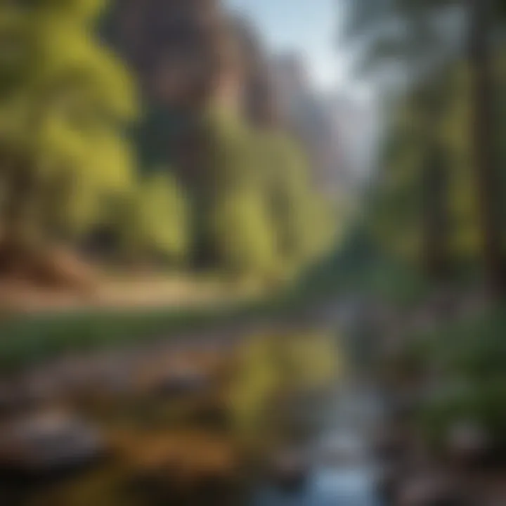 Panoramic view of Oak Creek Canyon's natural beauty