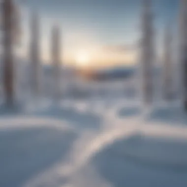 Serenity of Untouched Snowscapes Panoramic View of Untouched Snowscapes
