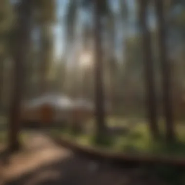 Panoramic View of Yurts Nestled Amongst Flagstaff Pines