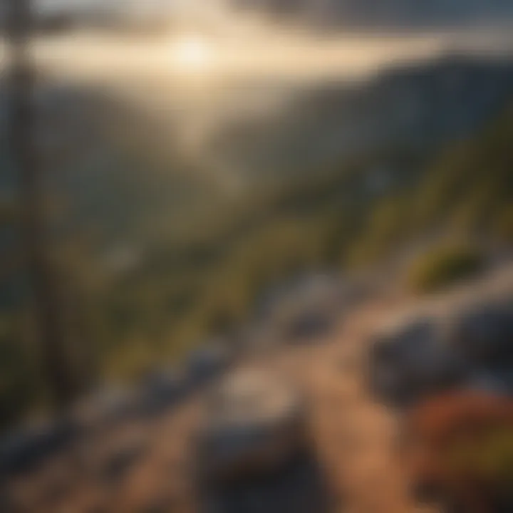 Panoramic Views from Mount Charleston Summit Panoramic Views from Mount Charleston Summit