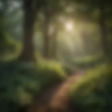 A serene view of a lush Ohio park with diverse flora.