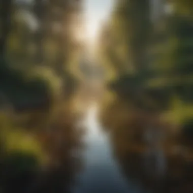 Tranquil Waters A peaceful pond reflecting the beauty of a PB Landscape