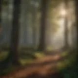 Nature's Preservation