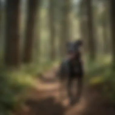 Imagery illustrating permissible inquiries for service animal inclusion