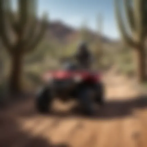 ATV riding through cactus-lined trail