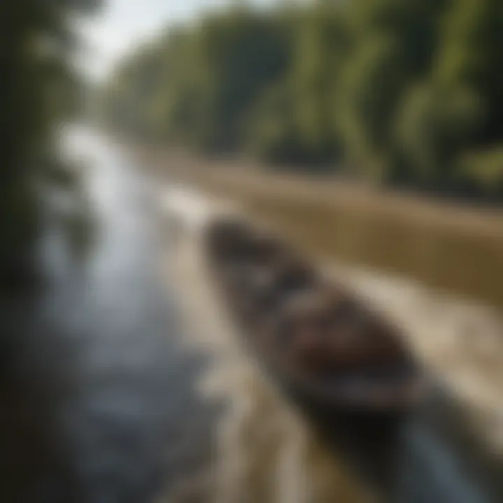 Traversing the Mighty Mississippi Depiction of Pierre Marquette Navigating the Mississippi River