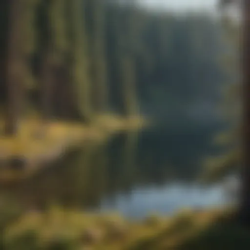 Scenic view of Pine Flat Lake surrounded by lush pine trees