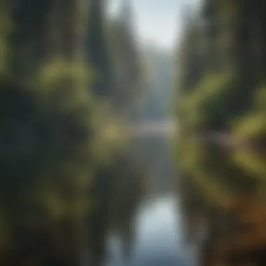 Recreational activities at Pine Flats Lake, featuring kayaking and fishing enthusiasts.