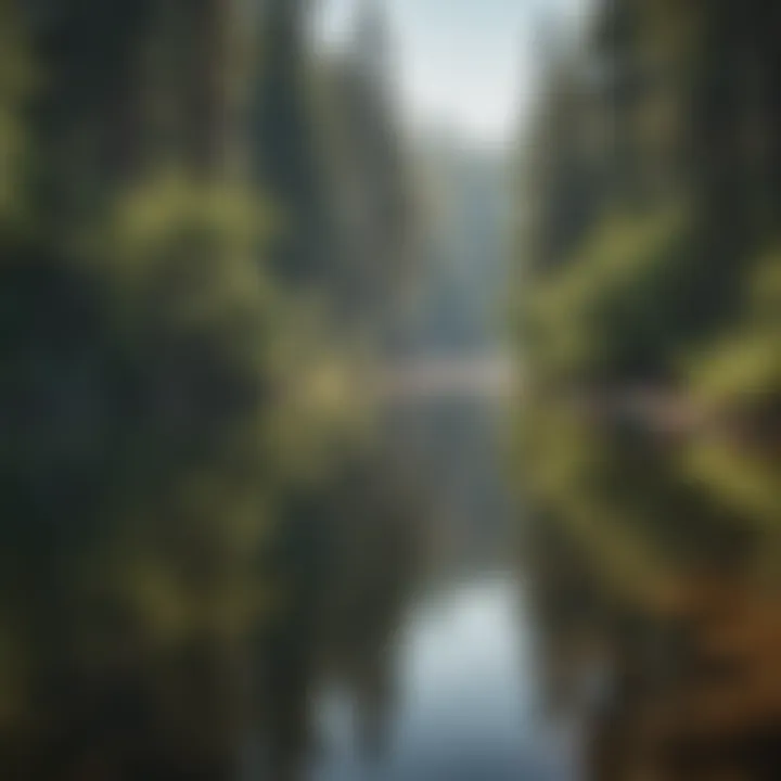 Recreational activities at Pine Flats Lake, featuring kayaking and fishing enthusiasts.