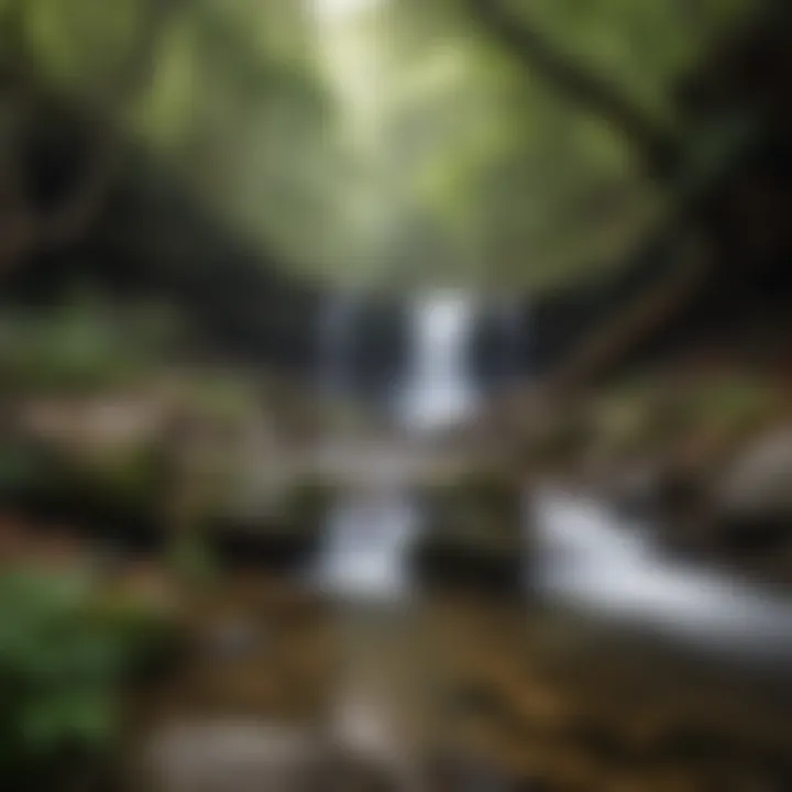 Serene waterfall cascading through Pisgah National Forest