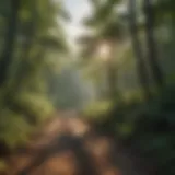 A panoramic view showcasing the lush landscapes surrounding Pole Hill Road Trail
