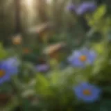 Vegetable pollination process