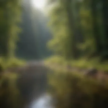 Pollution control project at Cornell University