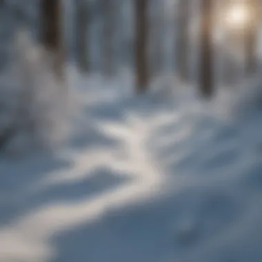 Powder snow glistening under the sun