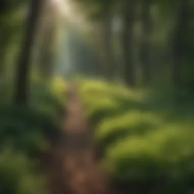 Lush green vegetation thriving with powerline weed killer