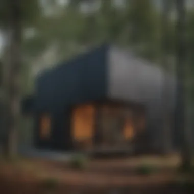 Practical Architectural Integration Practical application of charred wood cladding in architecture