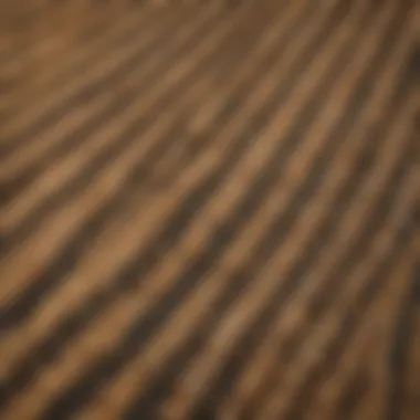 Aerial view of a prairie dog colony fenced area
