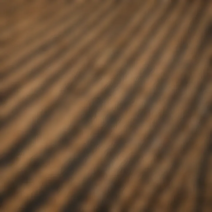 Aerial view of a prairie dog colony fenced area