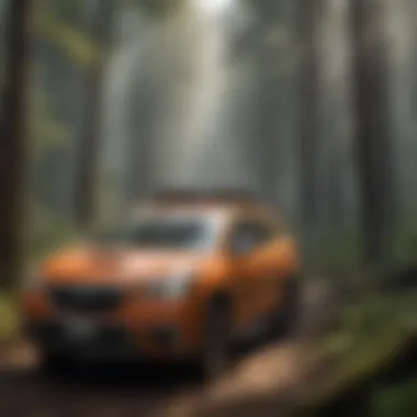 Precision GPS Tracking for Disaster Management