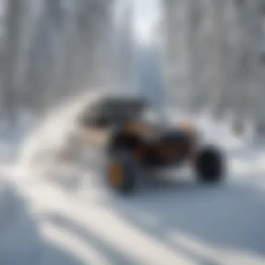 Untouched Powder Runs Pristine Powder Runs