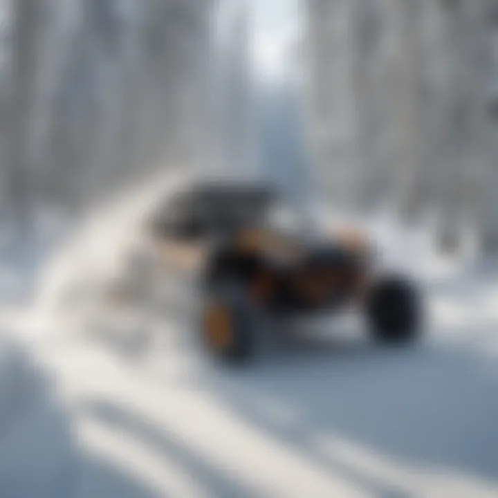 Untouched Powder Runs Pristine Powder Runs