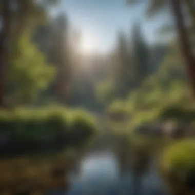 Pristine waters surrounded by lush greenery