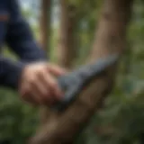 Pruning Shears Trimming Branches of Large Tree