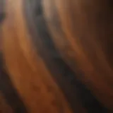 Exotic Ziricote Wood Grain Pattern