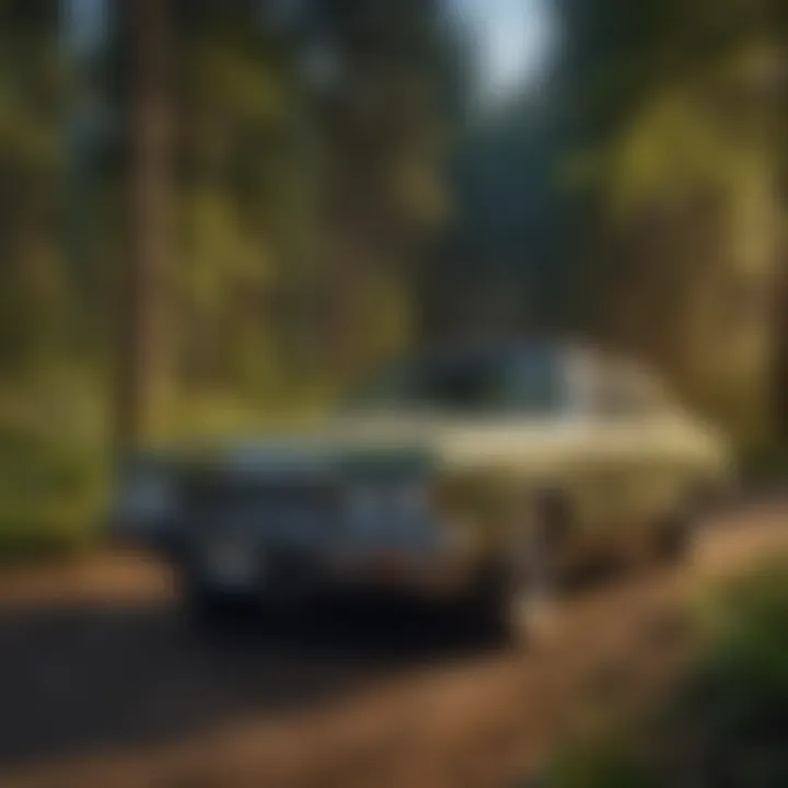 Hyatt Hotels Recycling Program