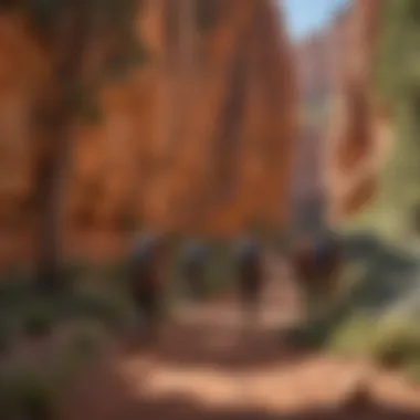 Group of hikers exploring the scenic trails around Red Canyon Lodge