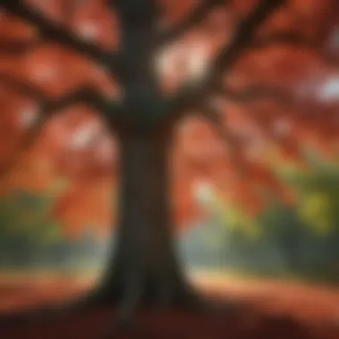 Sunlit Canopy of the Majestic Red Oak Tree Sunlight filtering through red oak tree leaves