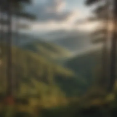 Breathtaking Panoramic Vista from Red Top Lookout A panoramic view showcasing the lush forest and distant mountains from Red Top Lookout.