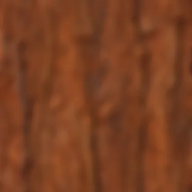Intricate Patterns of Redwood Cladding Texture Close-Up of Redwood Cladding Texture