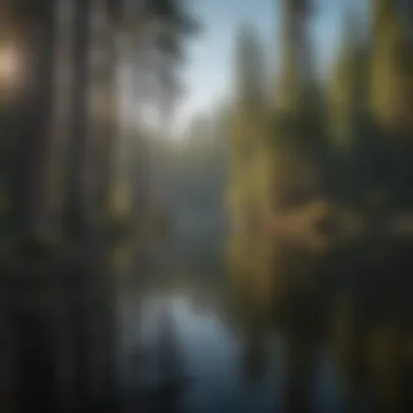 Reflection of towering pine trees on the crystal-clear surface of Sardine Lake