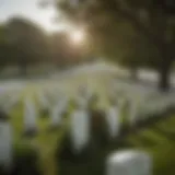 Remembrance at Arlington National Cemetery