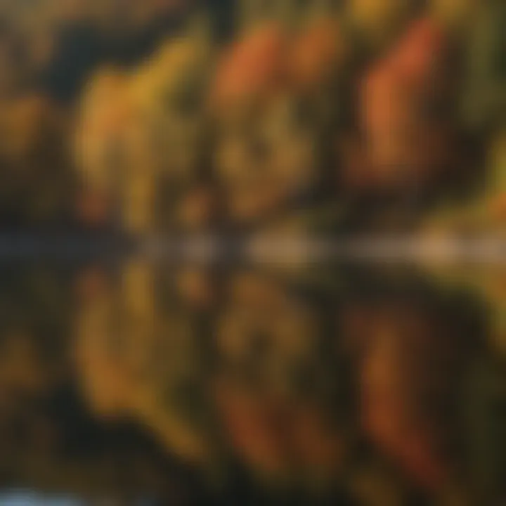 Reflections of Fall Foliage at Watauga Lake