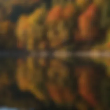 Reflections of Fall Foliage at Watauga Lake Reflections of Fall Foliage at Watauga Lake