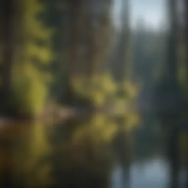 Serenity in Sunriver Waters Reflections on the Water in Sunriver