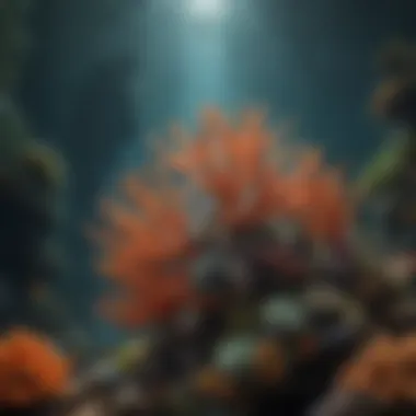 Ocean Sovereignty: The Majesty of the Depths Regal Sea Creature Monarch Amidst Coral Reef