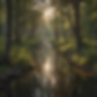 Regulation Blueprint for Texas WMAs Regulation Blueprint for Water Management Areas in Texas