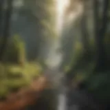 Visual Representation of Regulatory Framework Regulatory Framework Visualization