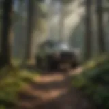Venture into the Enchanting Forest Trails Forest Trail Explorations