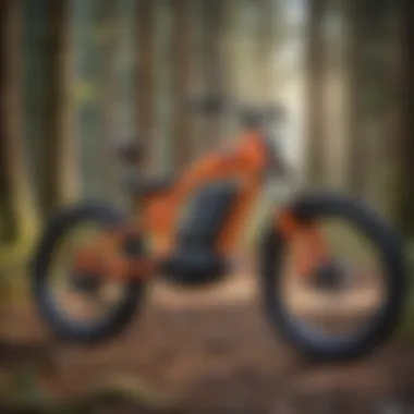 Electric Bike Rental Policies Legal policies regarding electric bike rental services