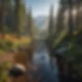 Professional Resume Adjectives