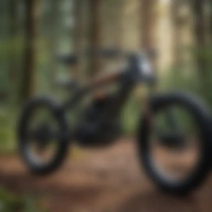 Revolutionary Battery Technology for Electric Bikes