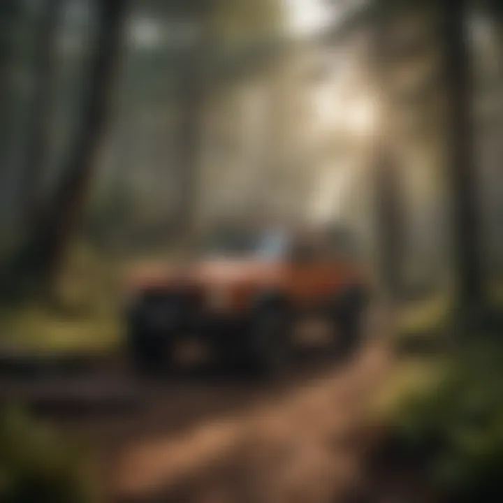 Ecosystem preservation through new forest management methods